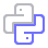 coding icon python